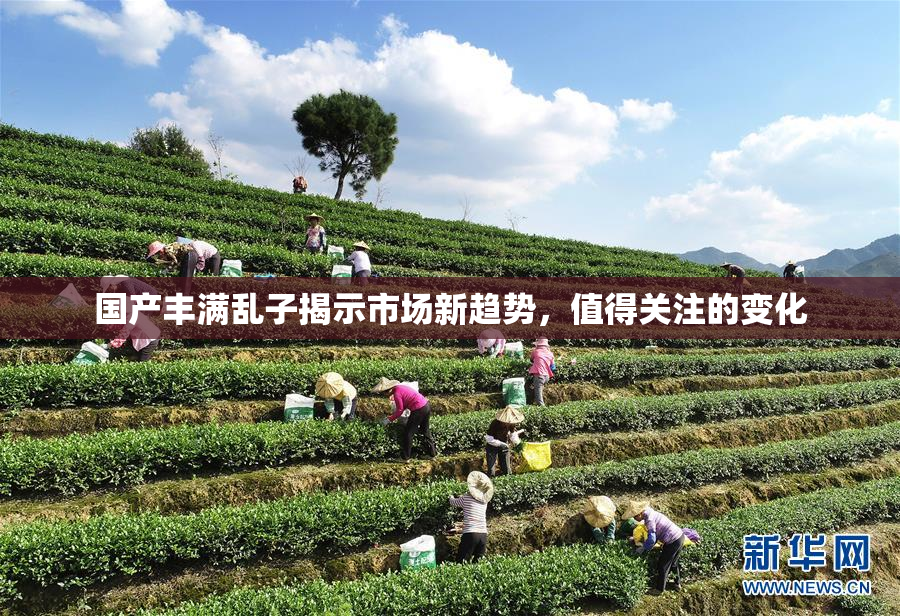 国产丰满乱子揭示市场新趋势，值得关注的变化