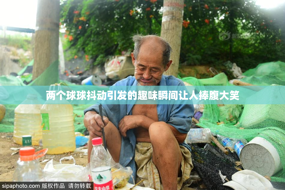 两个球球抖动引发的趣味瞬间让人捧腹大笑