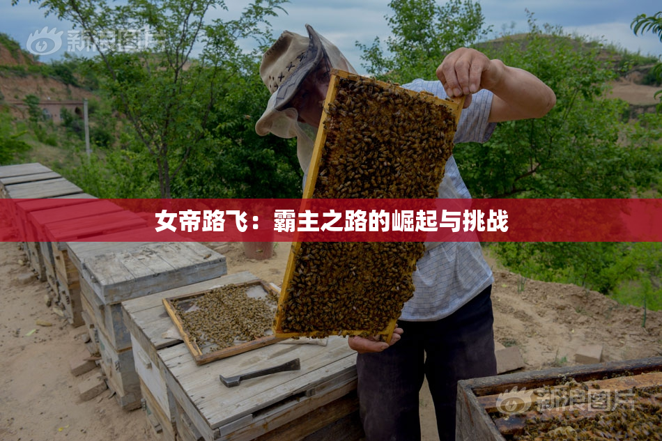 女帝路飞：霸主之路的崛起与挑战