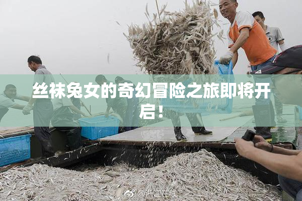 丝袜兔女的奇幻冒险之旅即将开启！