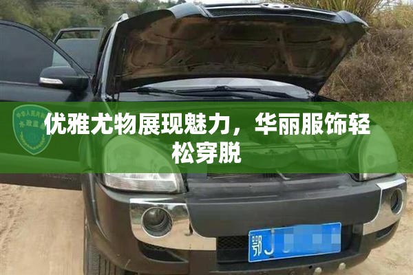 优雅尤物展现魅力，华丽服饰轻松穿脱