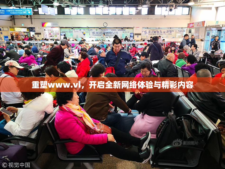 重塑www.vi，开启全新网络体验与精彩内容