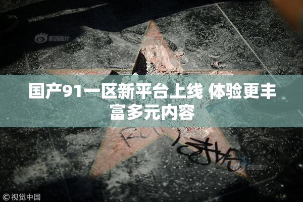 国产91一区新平台上线 体验更丰富多元内容