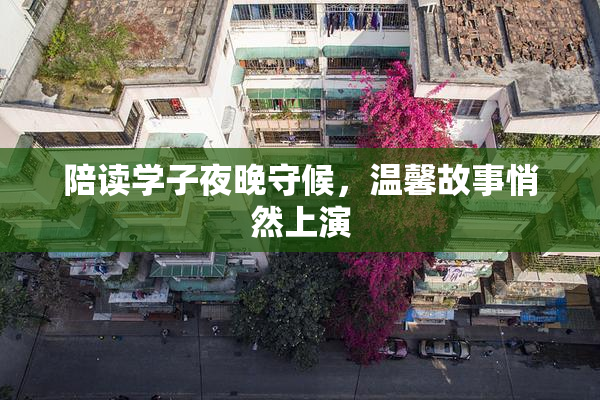 陪读学子夜晚守候，温馨故事悄然上演