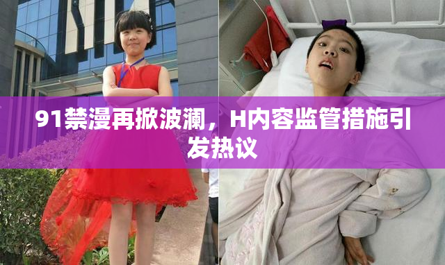 91禁漫再掀波澜，H内容监管措施引发热议