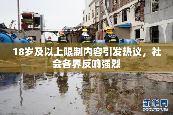 18岁及以上限制内容引发热议，社会各界反响强烈