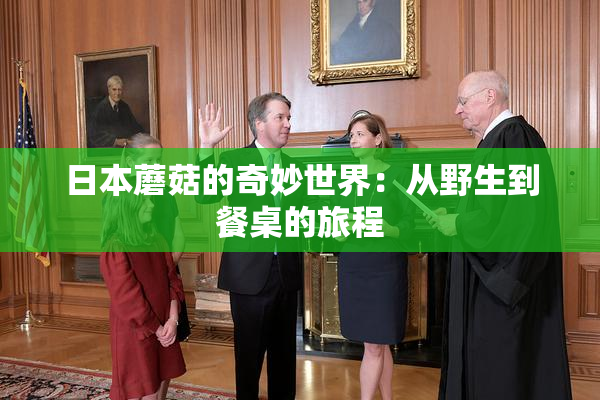日本蘑菇的奇妙世界：从野生到餐桌的旅程