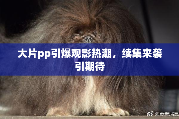 大片pp引爆观影热潮，续集来袭引期待