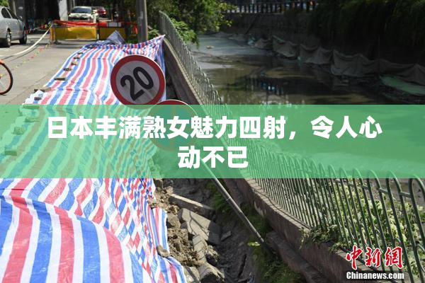 日本丰满熟女魅力四射，令人心动不已