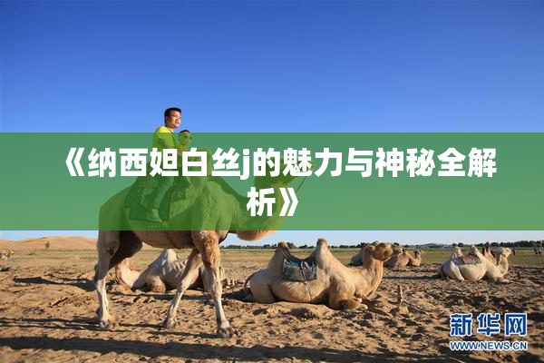 《纳西妲白丝j的魅力与神秘全解析》