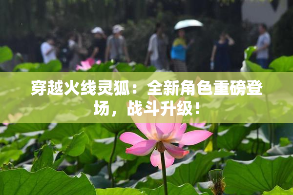 穿越火线灵狐：全新角色重磅登场，战斗升级！