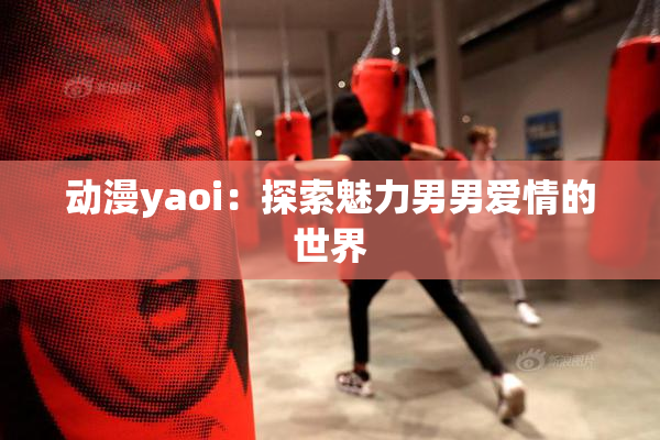 动漫yaoi：探索魅力男男爱情的世界