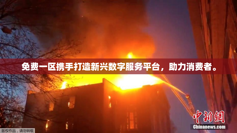 免费一区携手打造新兴数字服务平台，助力消费者。