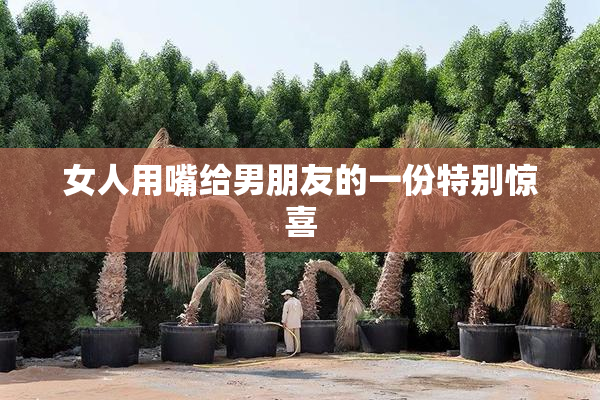 女人用嘴给男朋友的一份特别惊喜