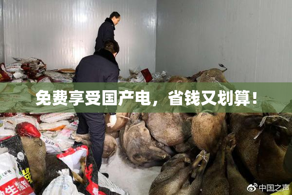 免费享受国产电，省钱又划算！