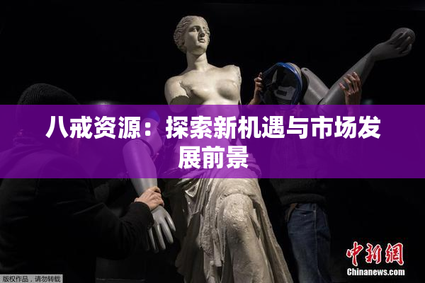 八戒资源：探索新机遇与市场发展前景