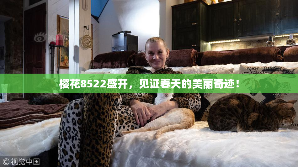 樱花8522盛开，见证春天的美丽奇迹！