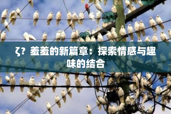 ζ？羞羞的新篇章：探索情感与趣味的结合