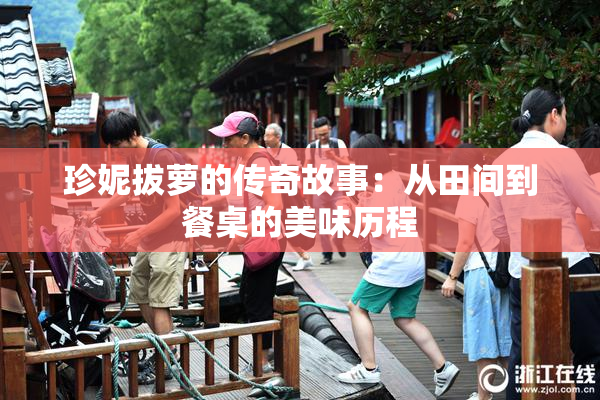 珍妮拔萝的传奇故事：从田间到餐桌的美味历程