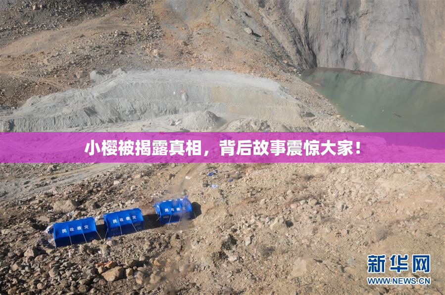 小樱被揭露真相，背后故事震惊大家！