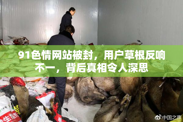 91色情网站被封，用户草根反响不一，背后真相令人深思