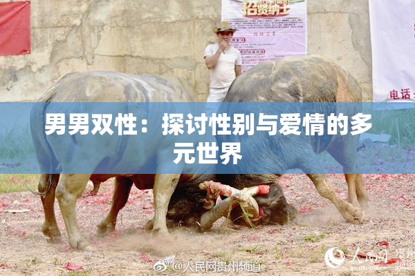男男双性：探讨性别与爱情的多元世界