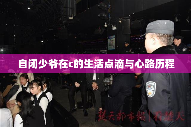 自闭少爷在c的生活点滴与心路历程