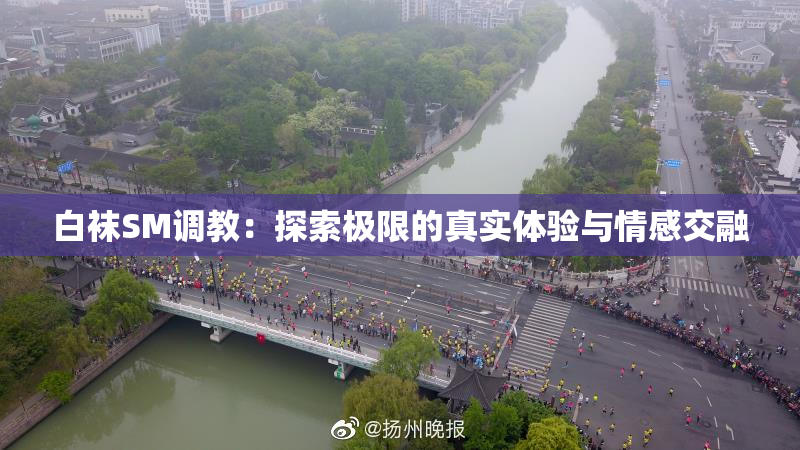 白袜SM调教：探索极限的真实体验与情感交融