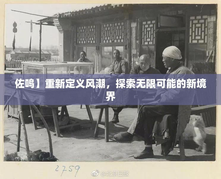 佐鸣】重新定义风潮，探索无限可能的新境界