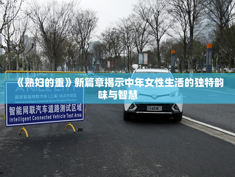 《熟妇的重》新篇章揭示中年女性生活的独特韵味与智慧