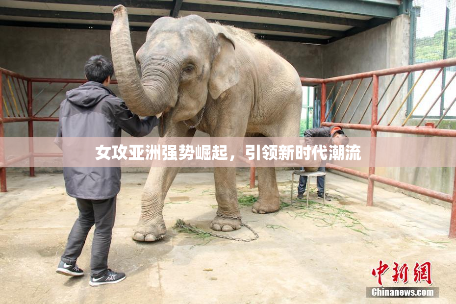 女攻亚洲强势崛起，引领新时代潮流