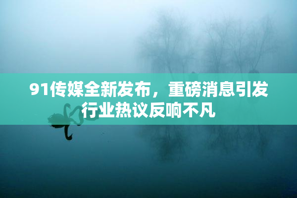 91传媒全新发布，重磅消息引发行业热议反响不凡