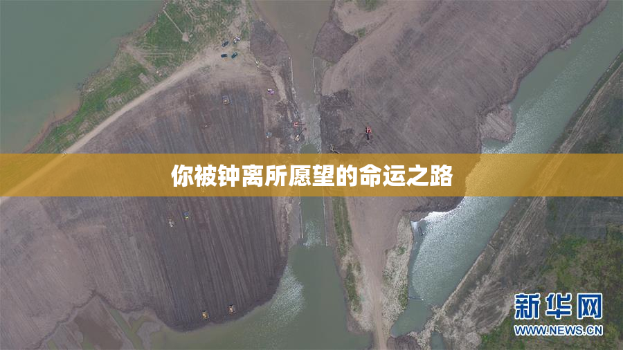 你被钟离所愿望的命运之路