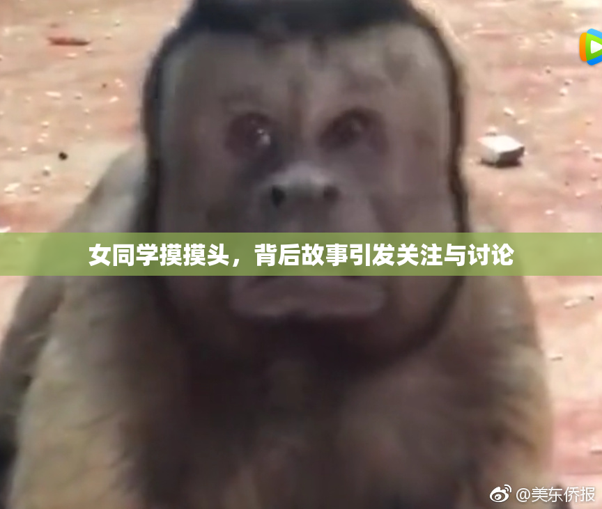 女同学摸摸头，背后故事引发关注与讨论