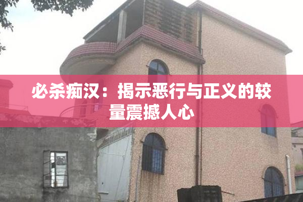 必杀痴汉：揭示恶行与正义的较量震撼人心