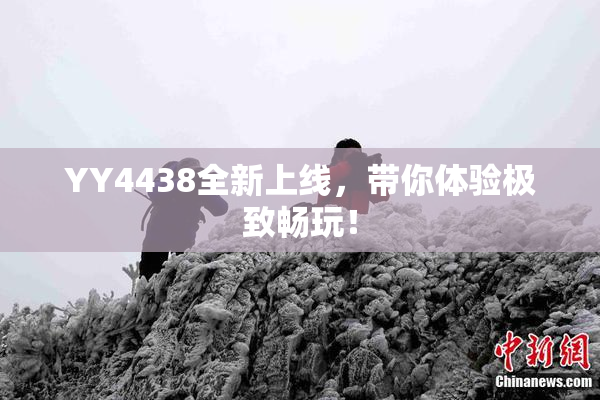 YY4438全新上线，带你体验极致畅玩！
