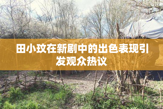 田小玟在新剧中的出色表现引发观众热议