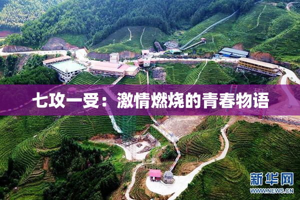 七攻一受：激情燃烧的青春物语