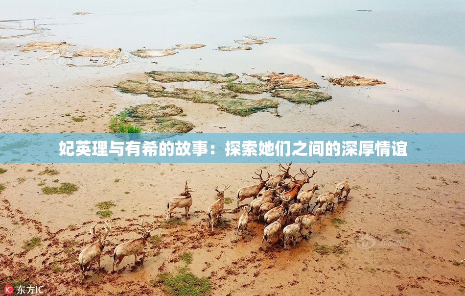 妃英理与有希的故事：探索她们之间的深厚情谊