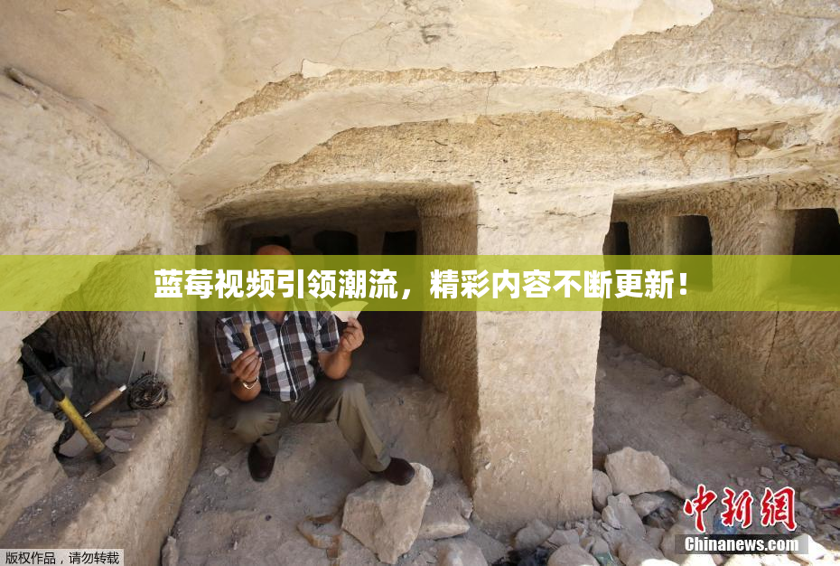 蓝莓视频引领潮流，精彩内容不断更新！