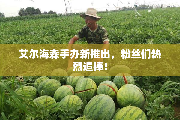 艾尔海森手办新推出，粉丝们热烈追捧！