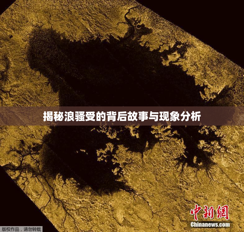 揭秘浪骚受的背后故事与现象分析