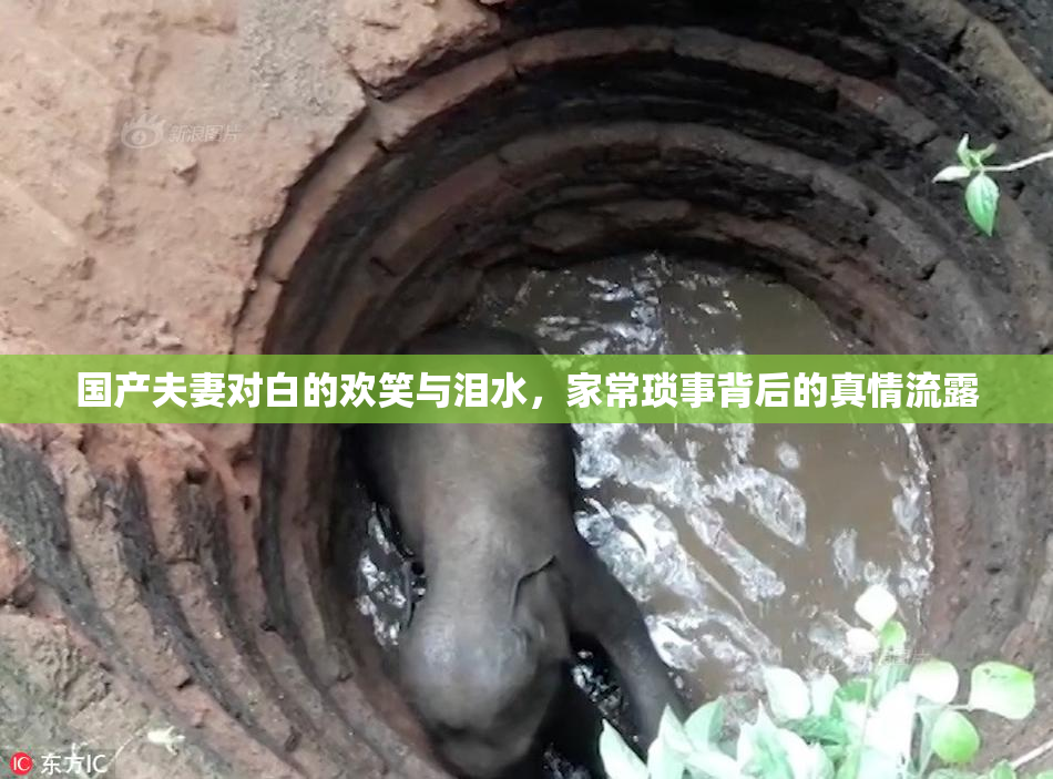 国产夫妻对白的欢笑与泪水，家常琐事背后的真情流露