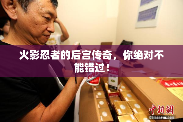 火影忍者的后宫传奇，你绝对不能错过！
