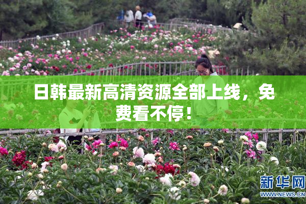 日韩最新高清资源全部上线，免费看不停！