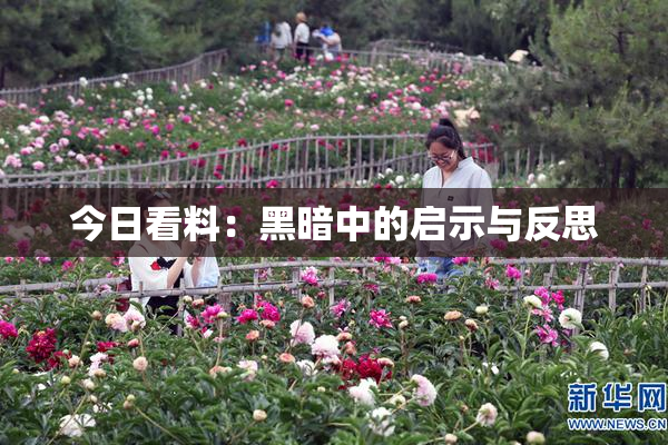 今日看料：黑暗中的启示与反思