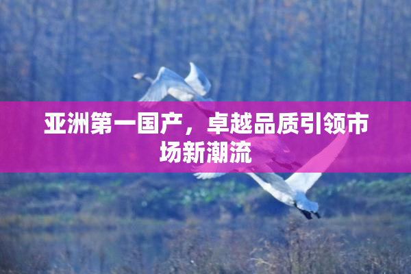 亚洲第一国产，卓越品质引领市场新潮流