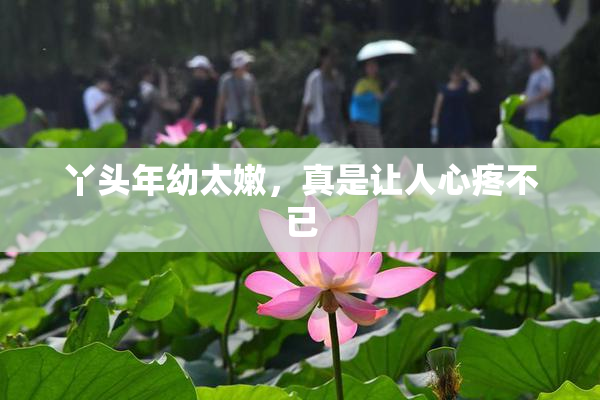 丫头年幼太嫩，真是让人心疼不已