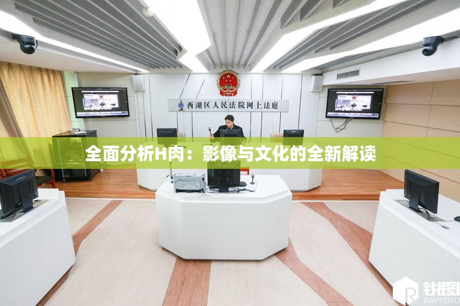 全面分析H肉：影像与文化的全新解读
