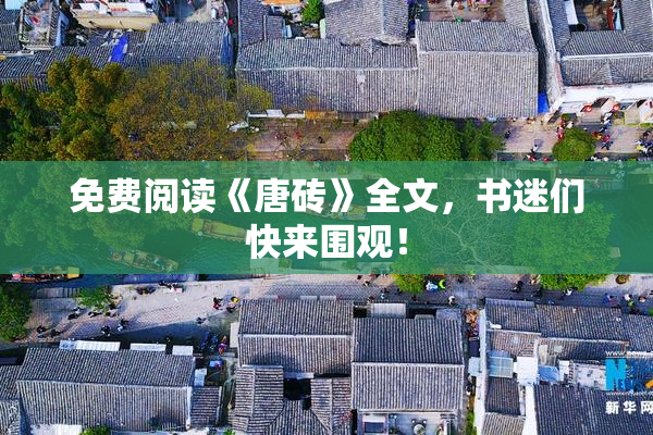 免费阅读《唐砖》全文，书迷们快来围观！